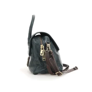 Fashion TASCHEN ASSENZA Damen Taschen